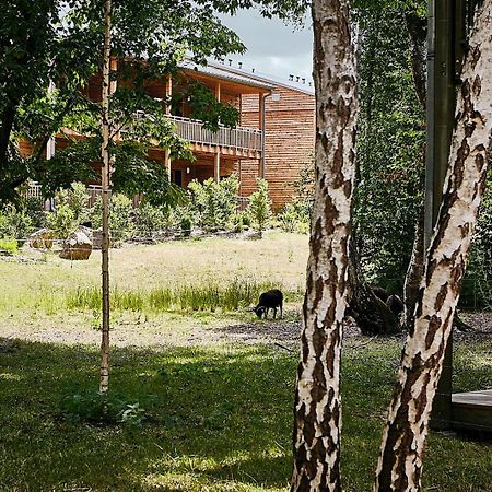 Hotel Des Trois Hiboux Plailly Εξωτερικό φωτογραφία