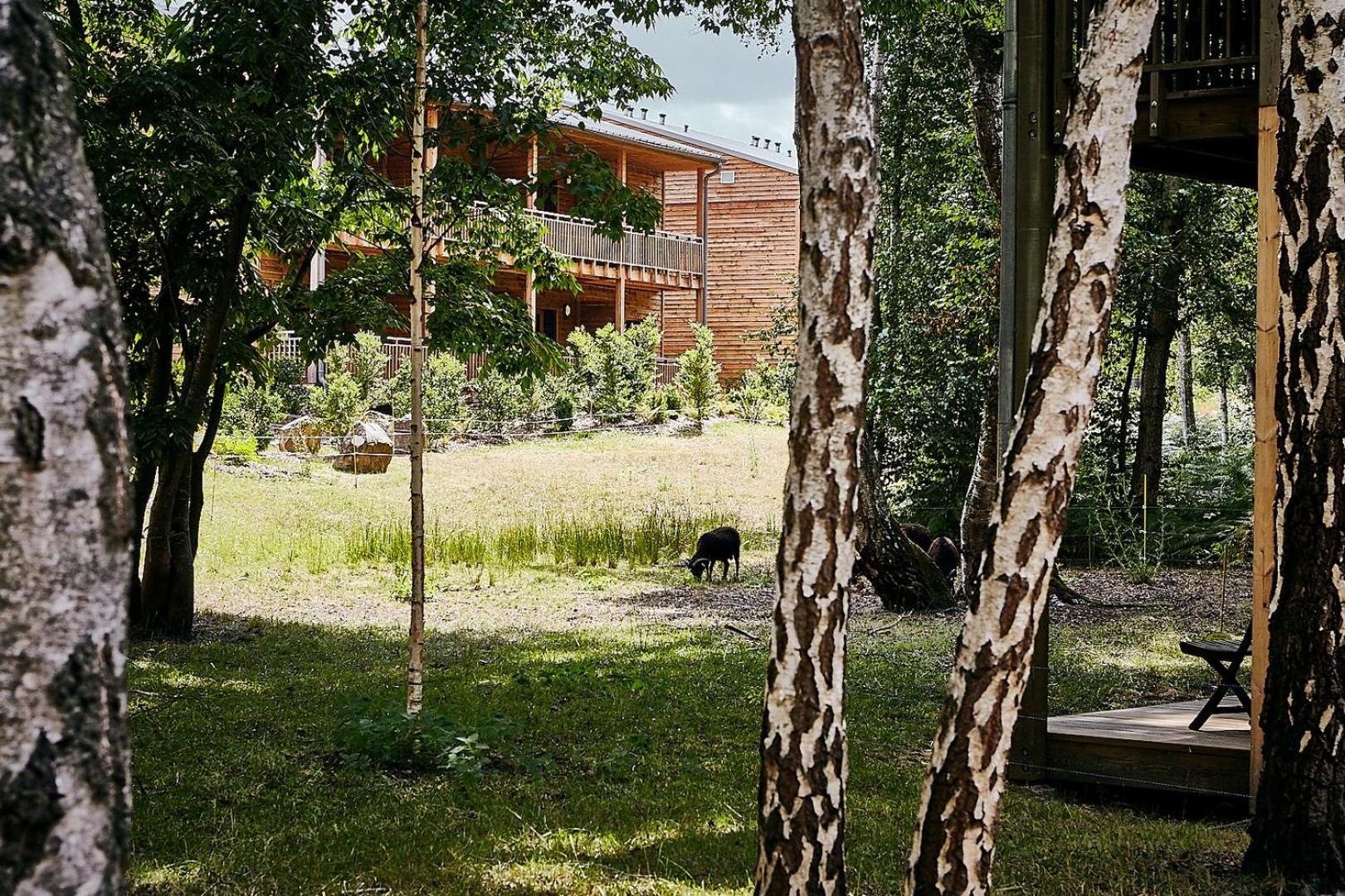 Hotel Des Trois Hiboux Plailly Εξωτερικό φωτογραφία